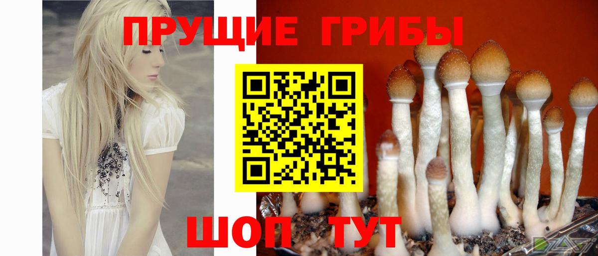 Чебоксары  Галлюциногенные грибы GOLDEN TEACHER  наркотики  Вход с VPN 